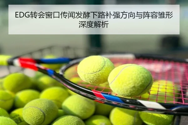 EDG转会窗口传闻发酵下路补强方向与阵容雏形深度解析